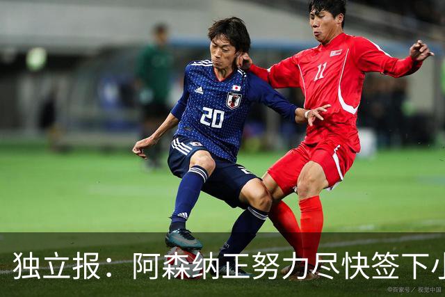 独立报：阿森纳正努力尽快签下小蜘蛛 心理价位9000万镑马竞要1亿